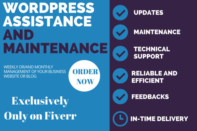 I will do wordpress maintenance, website update, wordpress support