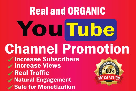 I will do youtube channel promotion and marketing to grow more audiences