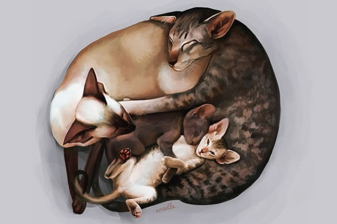 I will draw a realistic animal illustration