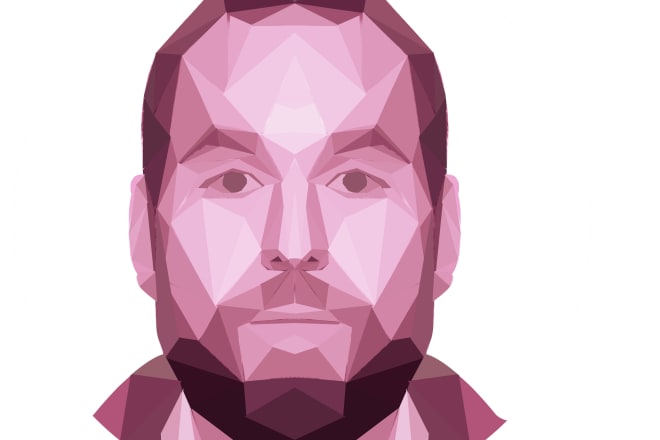 I will draw polygon style portrait