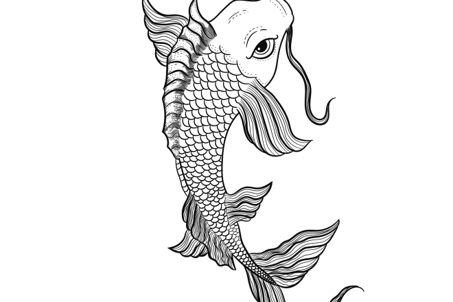 I will draw vector line art from photos