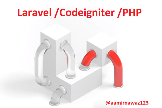 I will fix bugs in your php laravel,codeignite project