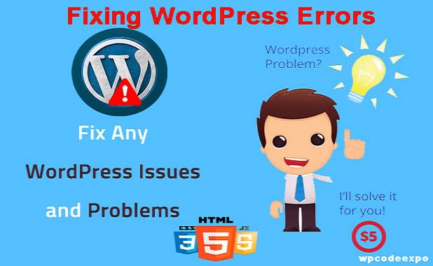 I will fix wordpress issues, errors, bugs or problems in 24 hours