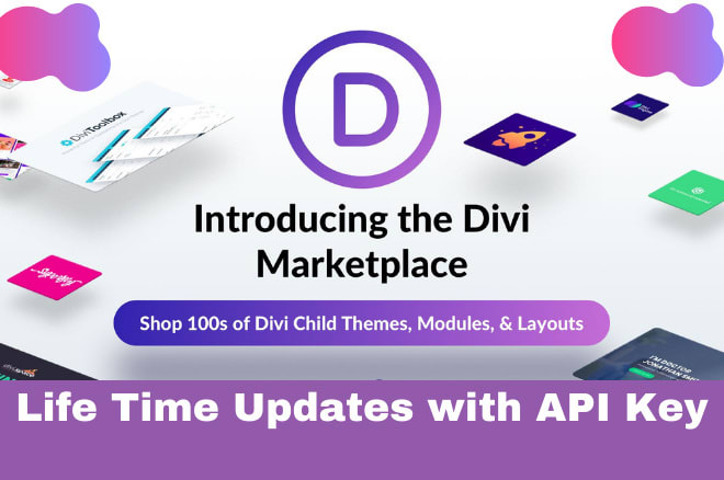 I will install premium divi theme with lifetime updates