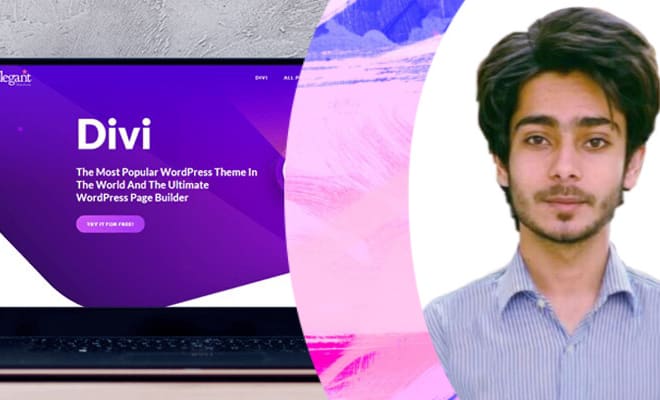 I will install wordpress divi theme with lifetime api key including monarch, builder