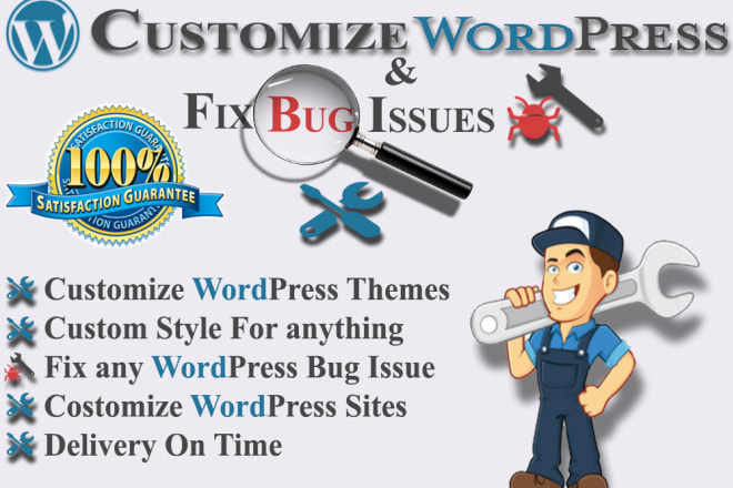 I will install wordpress theme, do customization and fix wp bugs