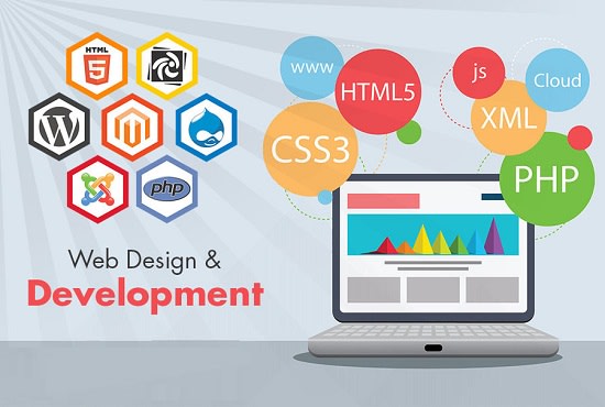 I will make a professional website with responsive design
