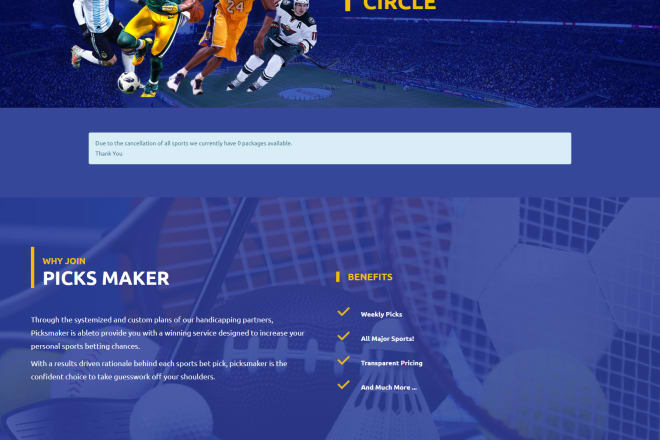 I will make wordpress websites for your business or store