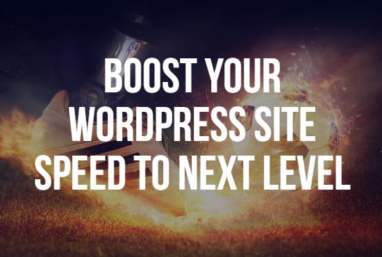 I will optimize wordpress site speed to next level in just 2 hours