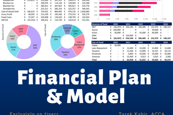 I will prepare financial plan, model, forecast and analysis