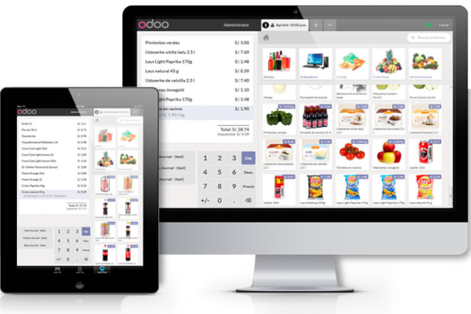 I will provide cloud based pos and inventory manager