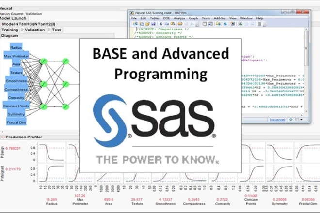 I will provide statistical data mining services over SAS