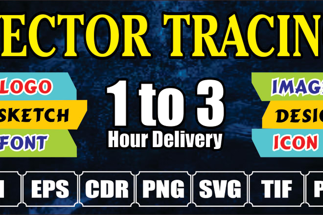 I will redraw or vector trace graphics your logo in just 12 hours