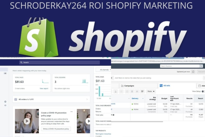 I will run sales ROI shopify marketing for your shopify store to boost shopify sales