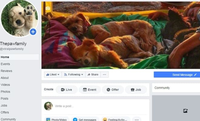 I will share link or info to facebook page fans nice marketing promotion