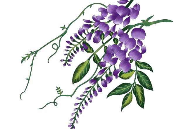 I will trace a textile digitl flower ready for printing