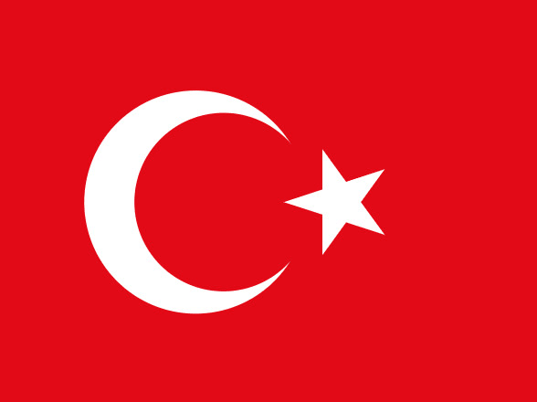 I will translate from english to turkish or turkish to english