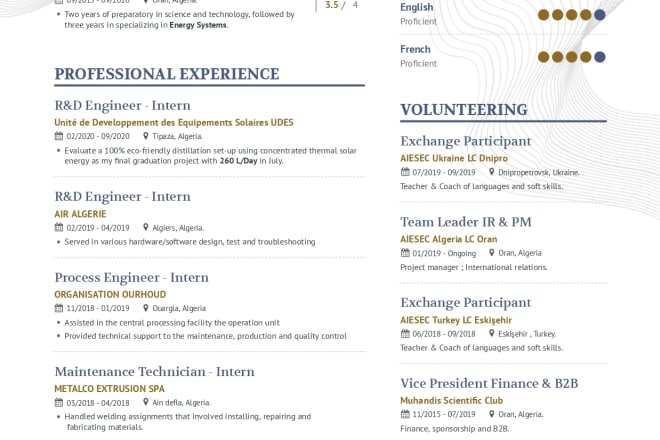 I will translate your resume, cover letter, and linkedin english or french