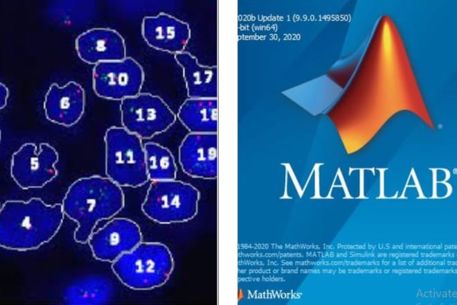 I will assist you in matlab projects and assignments