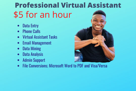 I will be your charismatic virtual assistant