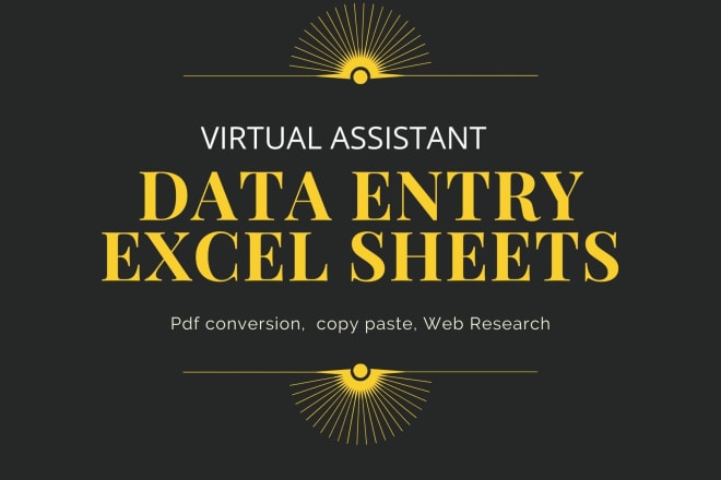 I will be your expert data entry freelancer for excel sheet