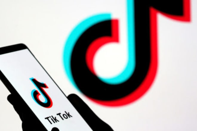 I will build app similar to tik tok,clone of tik tok app