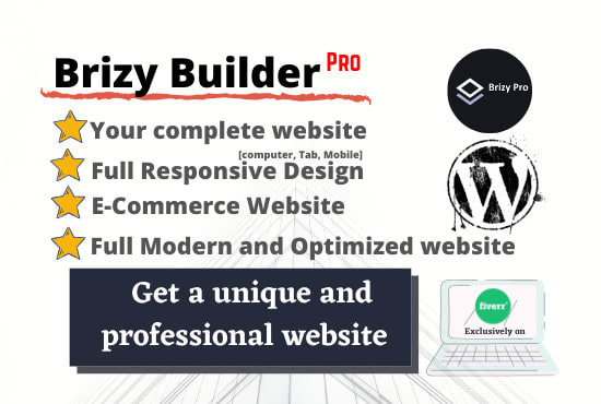 I will build your wordpress website using brizy builder