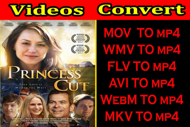 I will convert mov, mkv, wmv, flv, avi, webm to mp4