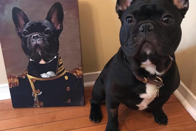 I will create a custom royal pet portrait you approve it then we print it
