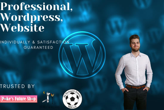 I will create a perfect wordpress online shop for your buisness deutsch english