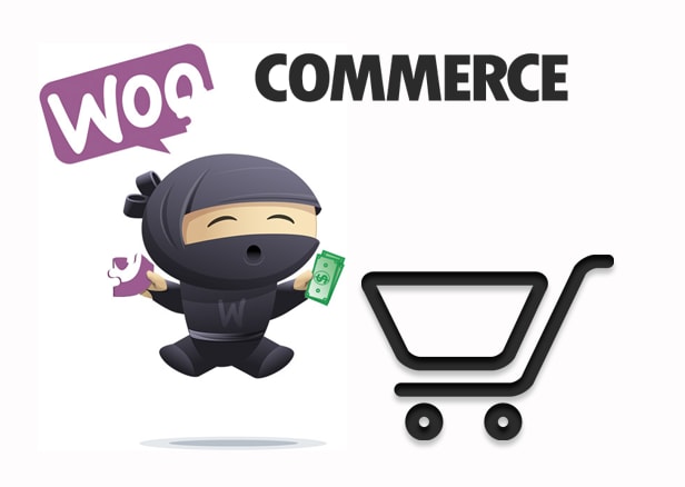 I will create ecommerce website using woocommerce