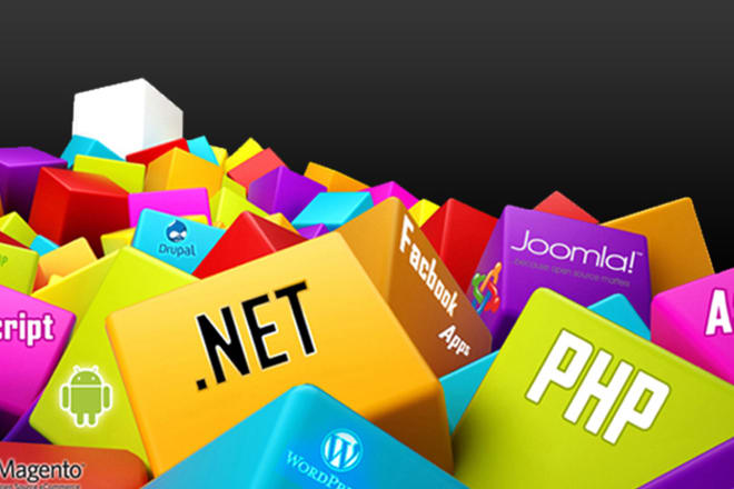 I will create masterpiece website and software