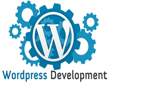 I will customize wordpress plugin and theme