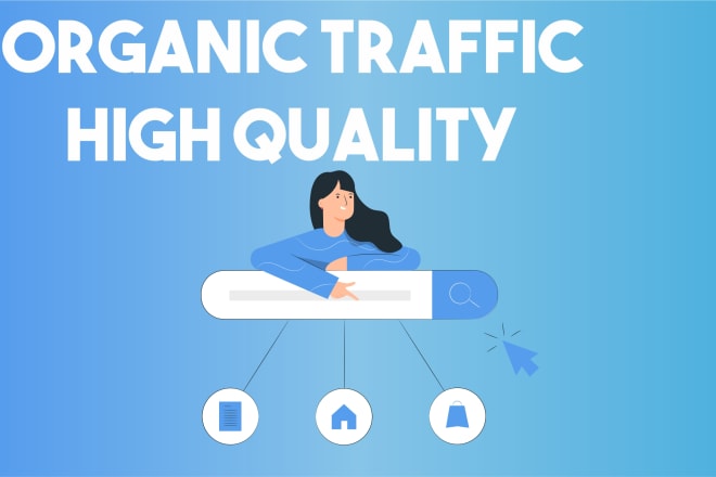 I will deliver organic web traffic to your website