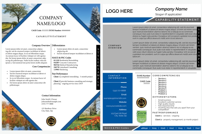 I will design an effective and professional capability statement