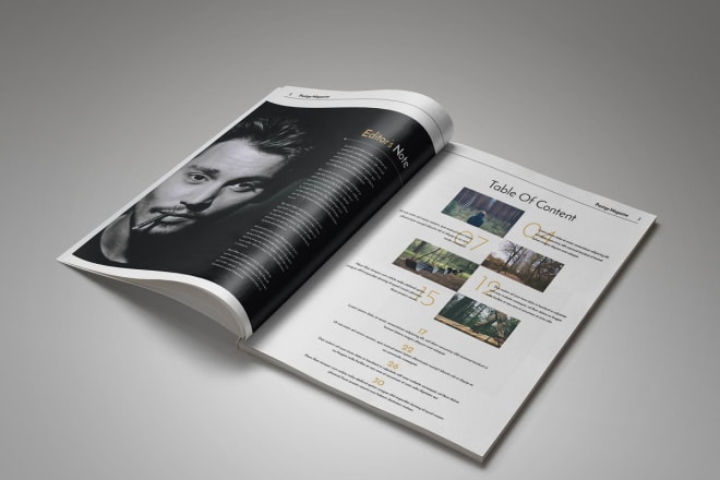 I will design ebook, catalogue, portfolio, sell sheet or magazine