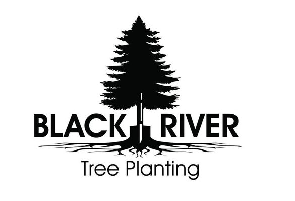 I will design professional landscaping logo