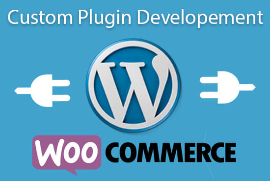 I will develop a custom plugin for wordpress