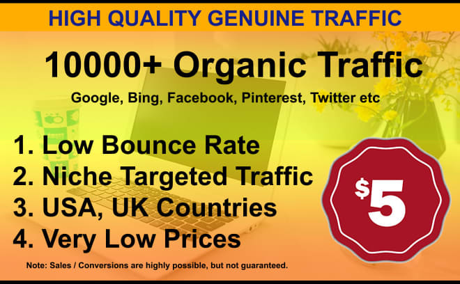 I will develop SEO optimization for web traffic