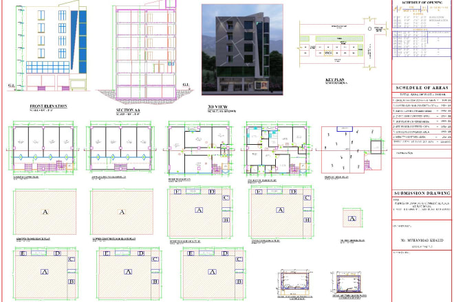 I will do building or house floor plans professionally