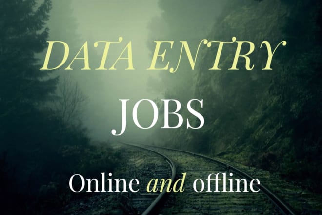 I will do data entry jobs online and offline