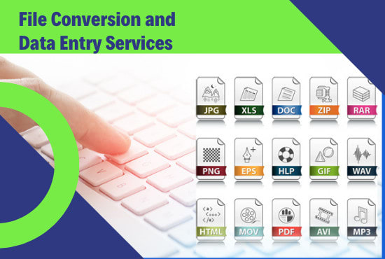 I will do format file conversion and typing job for your business