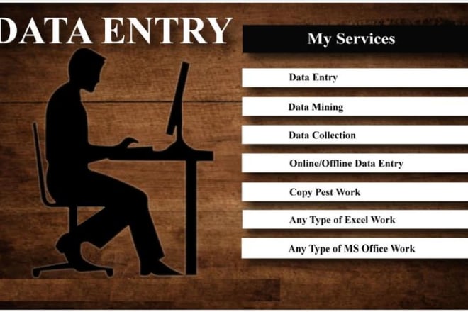 I will do online and offline data entry jobs