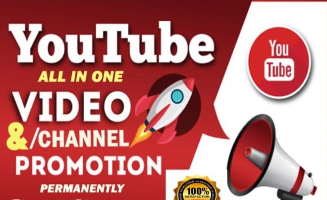 I will do organic and professional top youtube channel promotion
