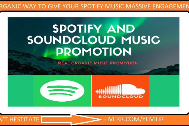 I will do organic promotion for your spotify music,spotify album