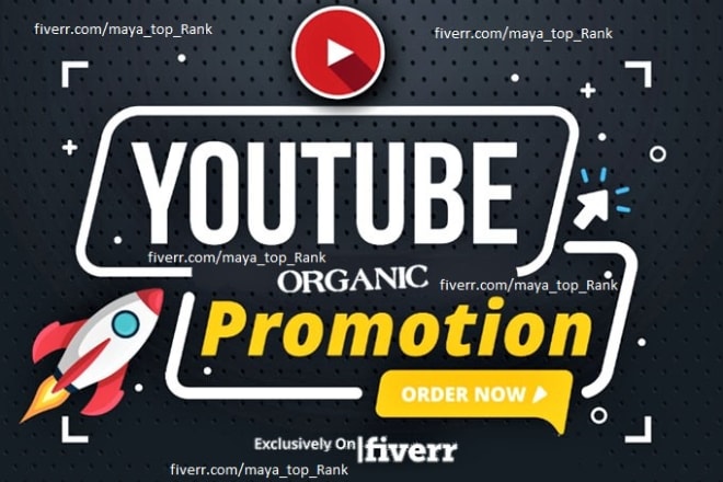 I will do organic youtube video promotion