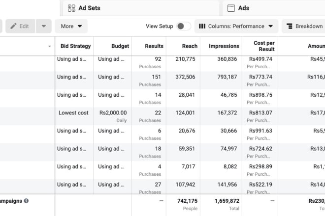 I will do paid ads on social media and google to promote your business sales and leads