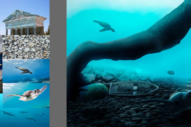 I will do professional photo manipulation to let your imagination come true