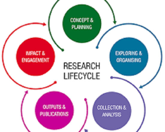 I will do SEO, content writing, research work and report writing