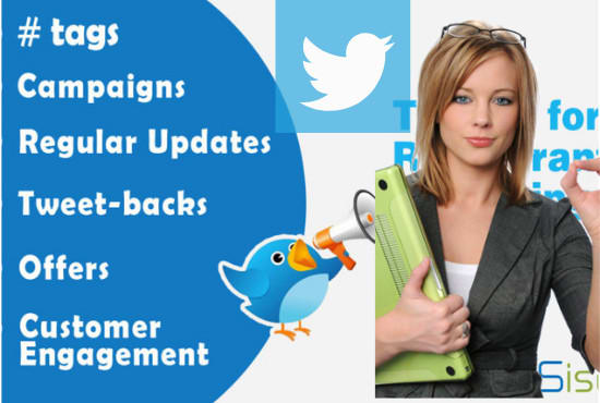 I will do twitter marketing professionally